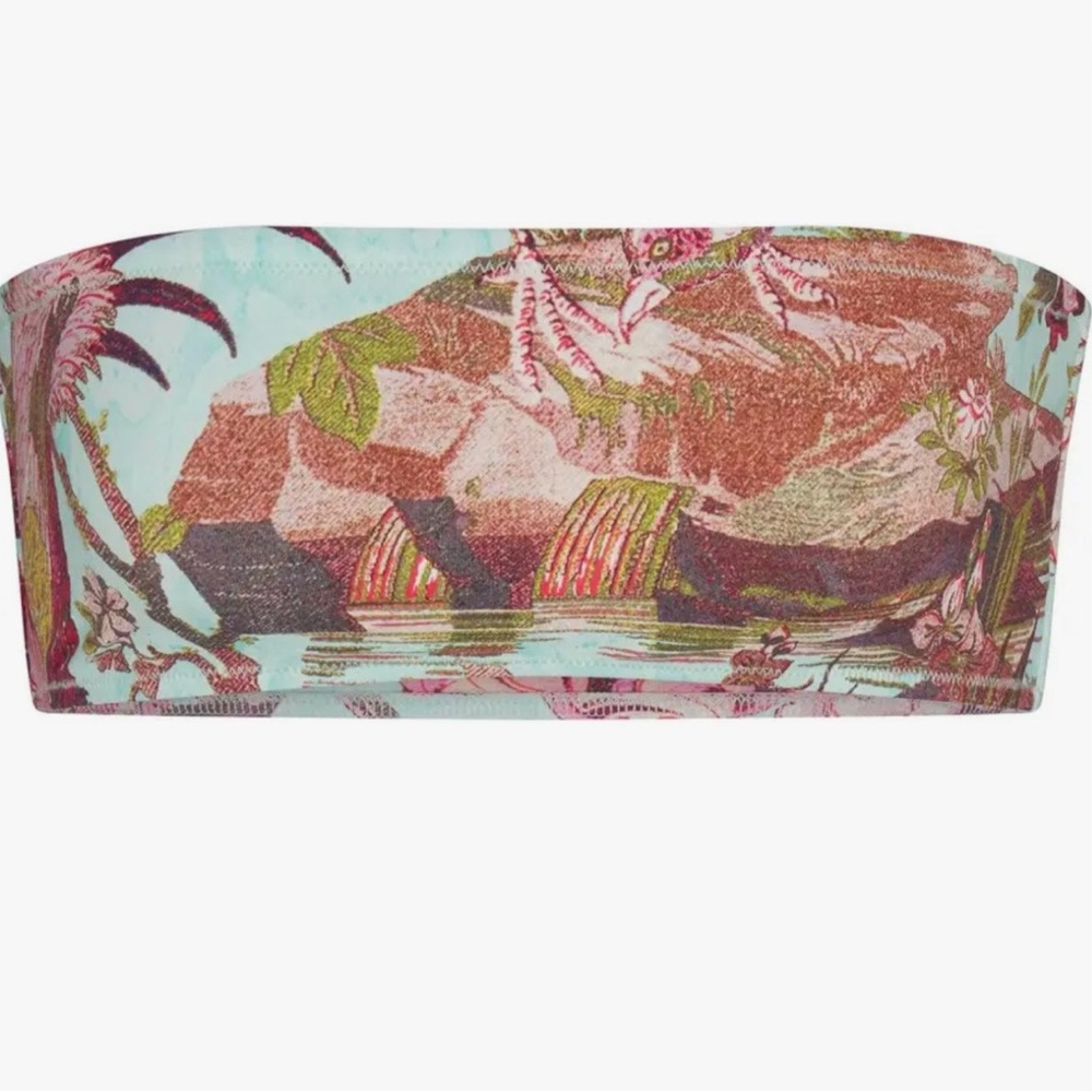 Roberto Cavalli x SKIMS Fagianella Micro Bandeau ✨